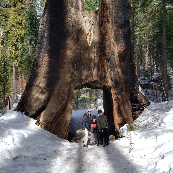 Meet your Posher, Virginia - Picture 3 of 3